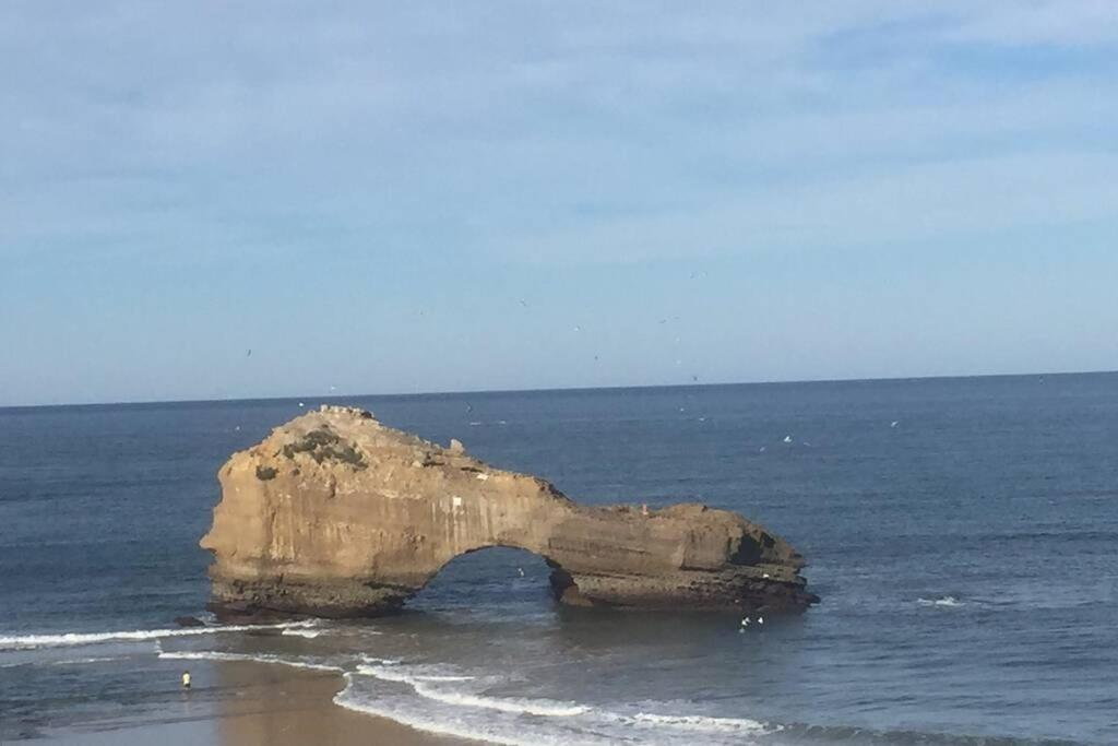 Imperatrice Daire Biarritz Dış mekan fotoğraf